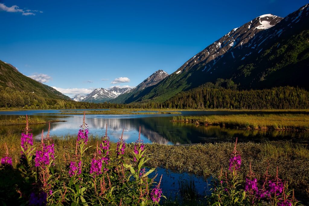 chugach national forest, alaska, landscape-1622635.jpg